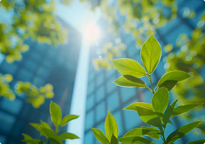 Sorumlu Bankacılık Prensipleri’nin Kurucu İmzacılarındanız